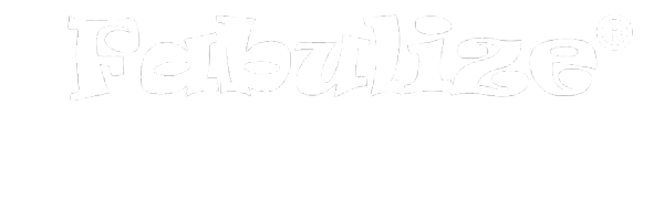 fabulize logo header